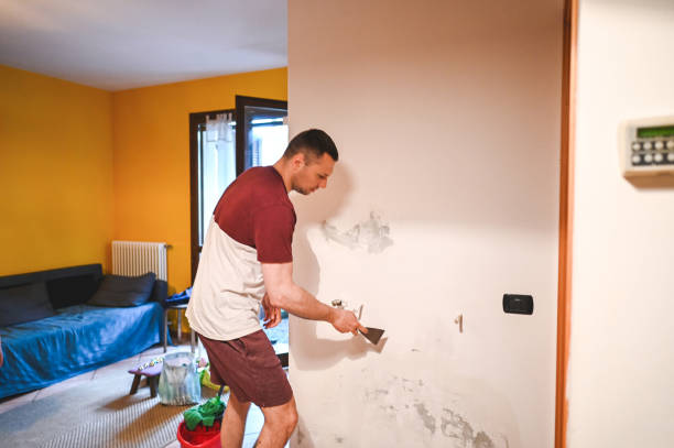 Best Attic Mold Removal  in Payson, UT